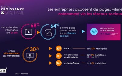 32% des TPE/PME absentes d’Internet ! Les entreprises françaises en retard sur le web